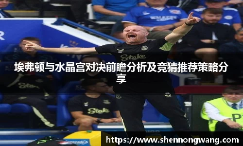 埃弗顿与水晶宫对决前瞻分析及竞猜推荐策略分享