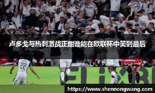 卢多戈与热刺激战正酣谁能在欧联杯中笑到最后